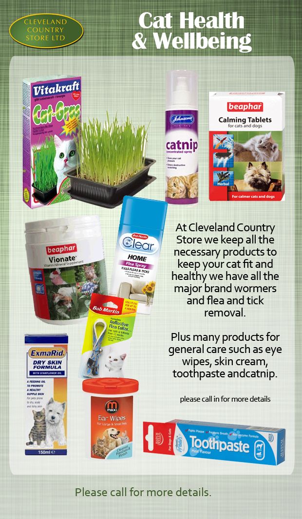 Cat Health &amp; Wellbeing